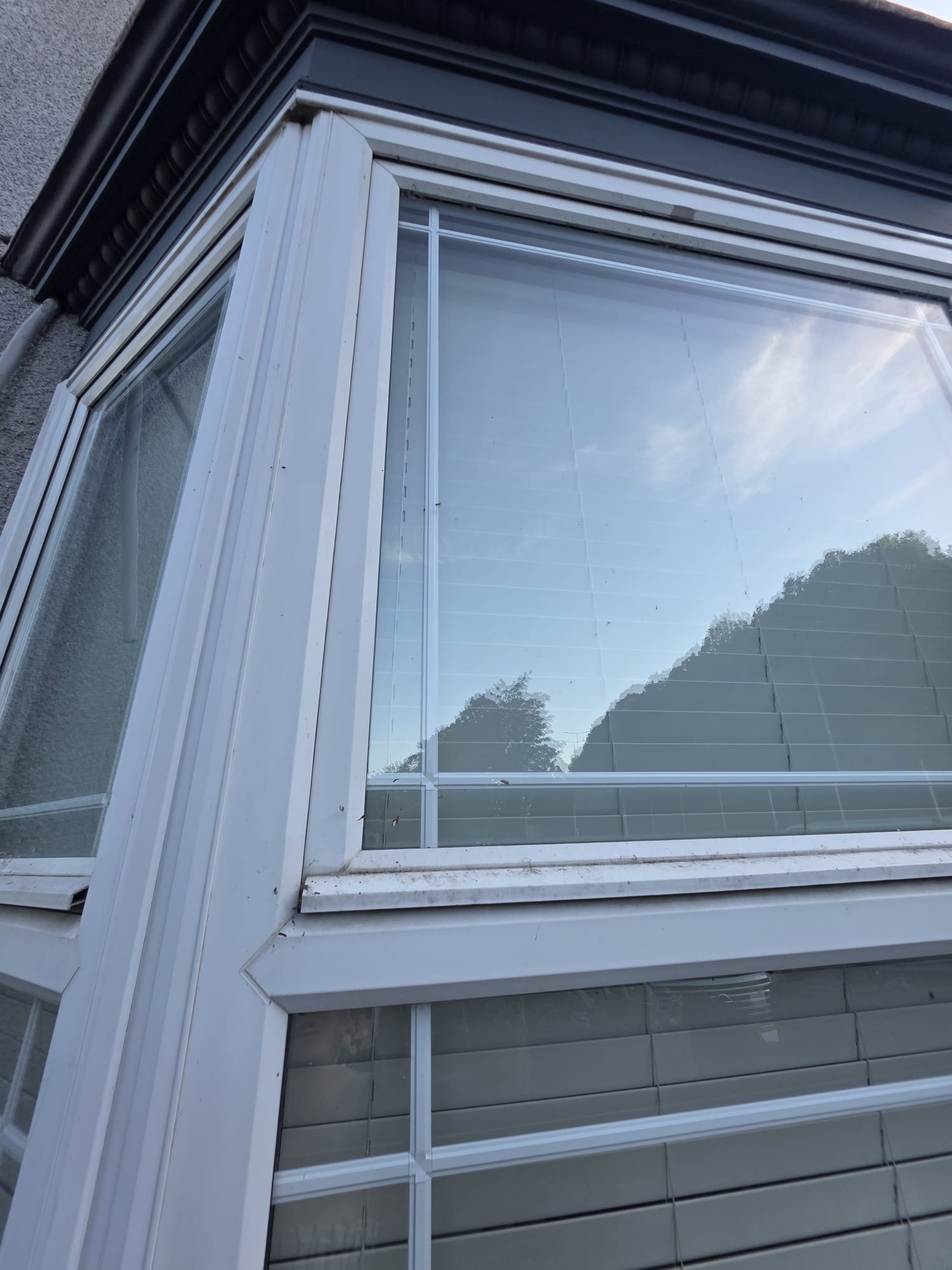 Freshly painted window frame detail — South Wales exterior decorating
